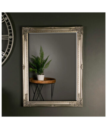 Large Ornate Champagne Gold Wall Mirror 82cm x 62cm