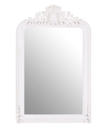 Premier Housewares Stone Grey Frame Wall Mirror Intricate Floral Border For Bedroom / Hallway / Living Room Luxurious w80 x d9.5 x h125cm