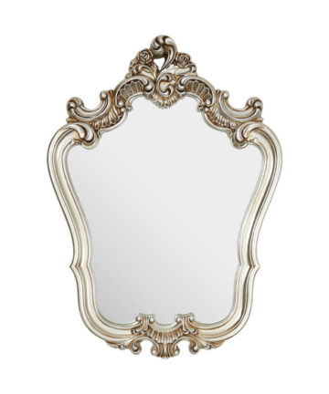 Premier Housewares Wall Mirror / Mirrors For Garden / Bathroom / Living Room With Carving Decorative Frame / Champagne Finish Wall Mounted Mirrors