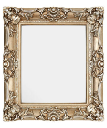 Premier Housewares Wall Mirror / Mirrors For Garden / Bathroom / Living Room With Thick Decorative Frame / Neo-Classic Gold Finish Wall Mounted Mirror
